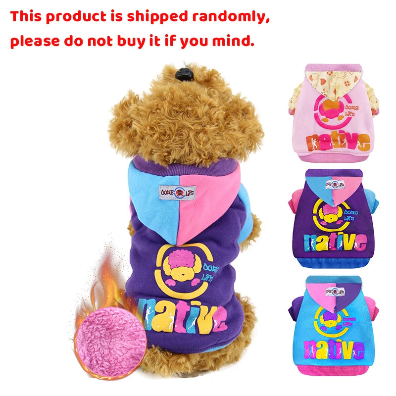 Lightweight Windproof Dog Hoodie – Warm Winter Coat for Small Dogs | Sizes 8–14