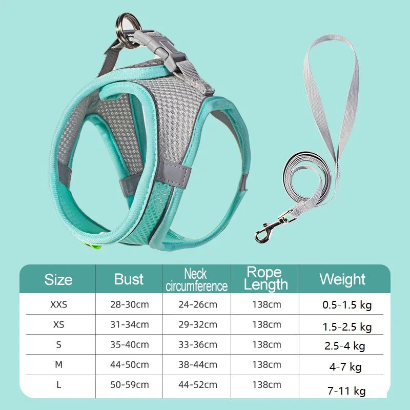 BellyRub Reflective Dog Harness – Adjustable Buckle Halter for Puppies & Small Dogs | XXS–L