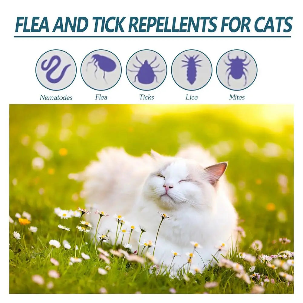 Pet Flea, Tick & Mite Treatment Drops 50ml