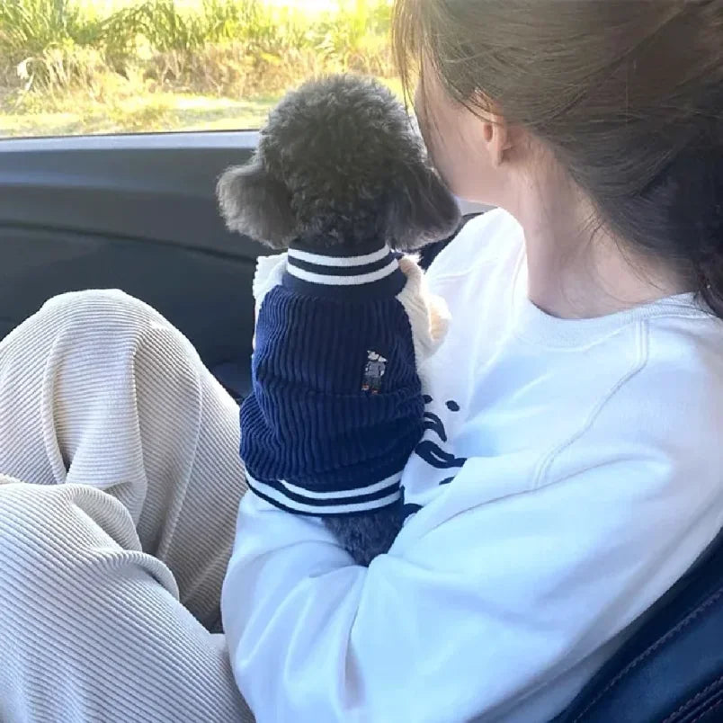 Luxury Embroidered Pet Baseball Jacket – Spring Fashion Coat for Dogs & Cats