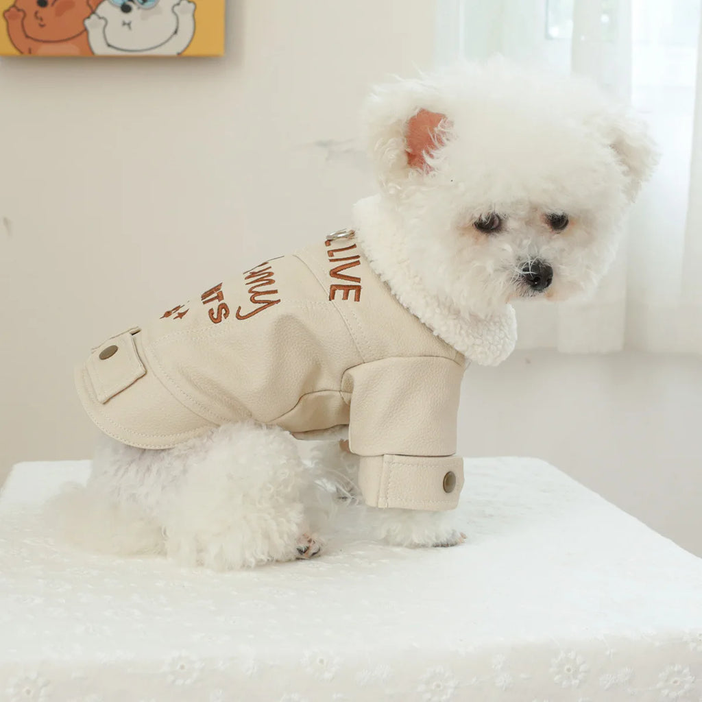 Waterproof Leather Dog Down Jacket – Winter Coat for Small & Medium Dogs