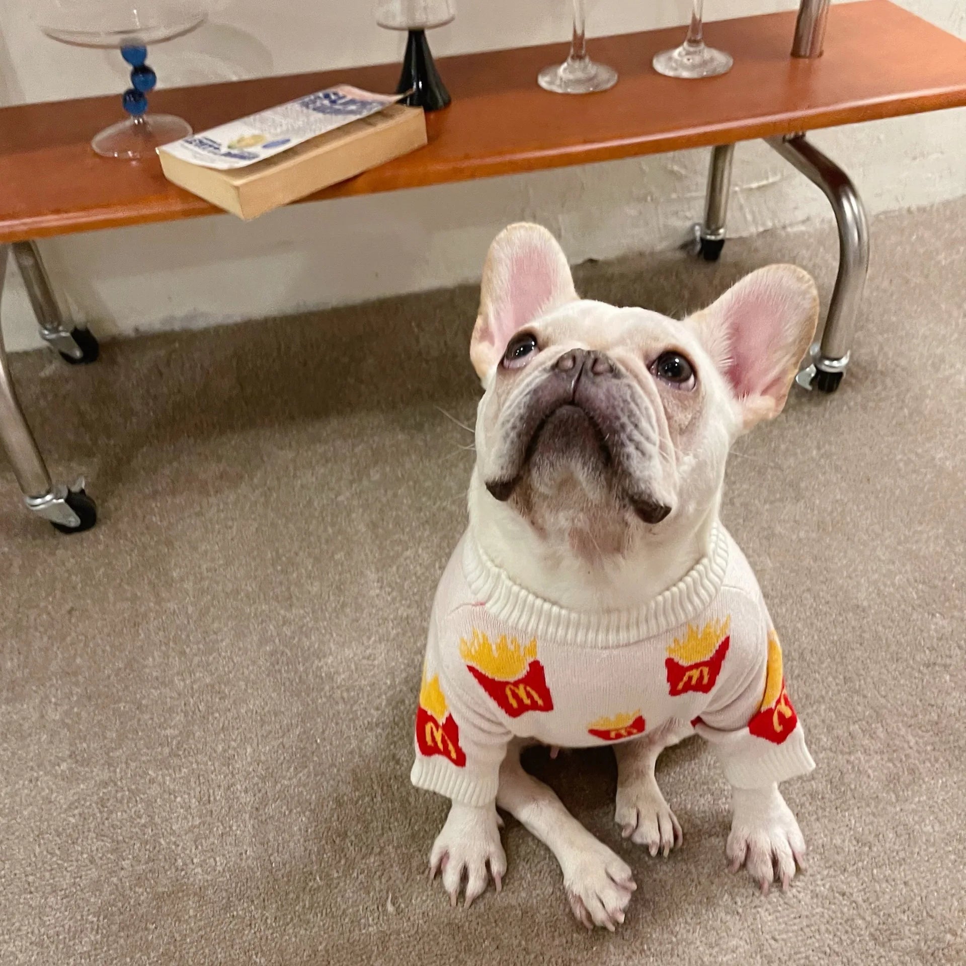 French Fries McD's Dog Sweater – Cute  Pet Jumper