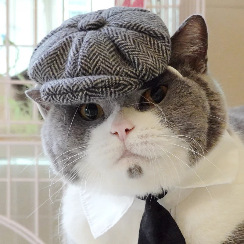 Gentleman's Beret & Tie Pet Costume – For Cats & Dogs