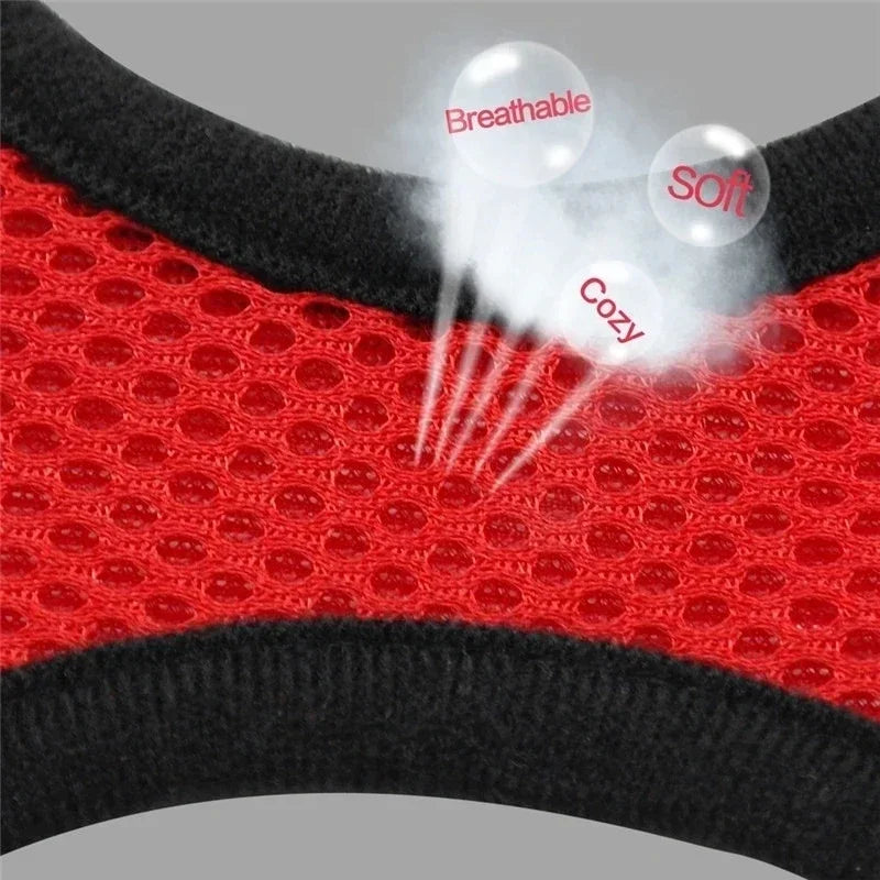 Adjustable Reflective Harness & Lead Set for Cats & Small Dogs | S, M & L