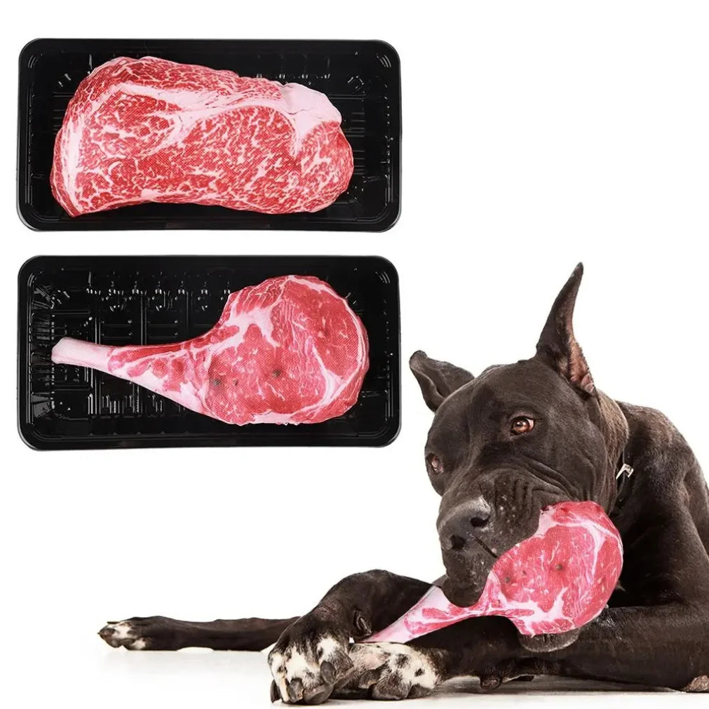Squeaky Bone, Steak & Carrot Dog Chew Toy – Bite-Resistant Training Toy