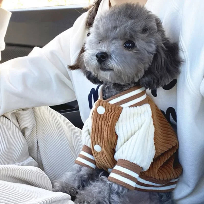 Luxury Embroidered Pet Baseball Jacket – Spring Fashion Coat for Dogs & Cats