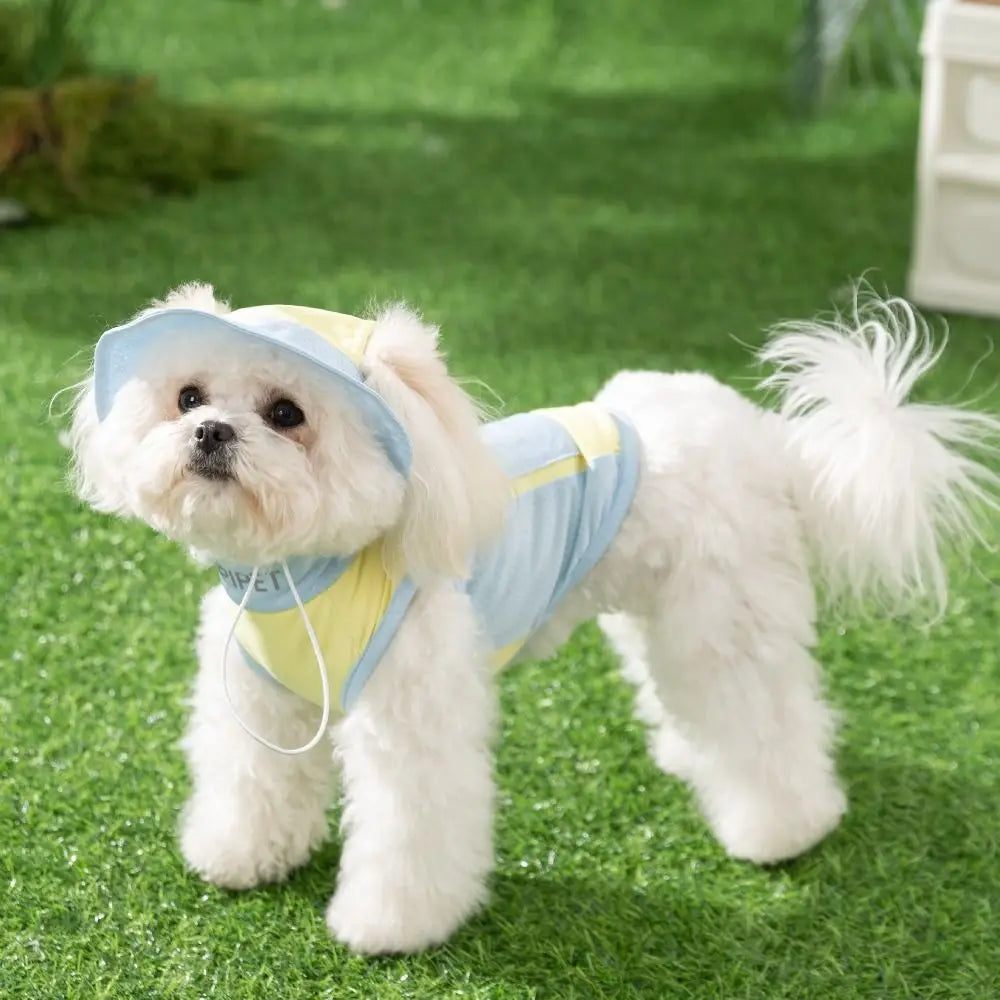 Spring Summer Pet Sunscreen Vest Comfortable Breathable Puppy Mesh T-Shirt Sleeveless with Hat Ice Bag Dog Pullover