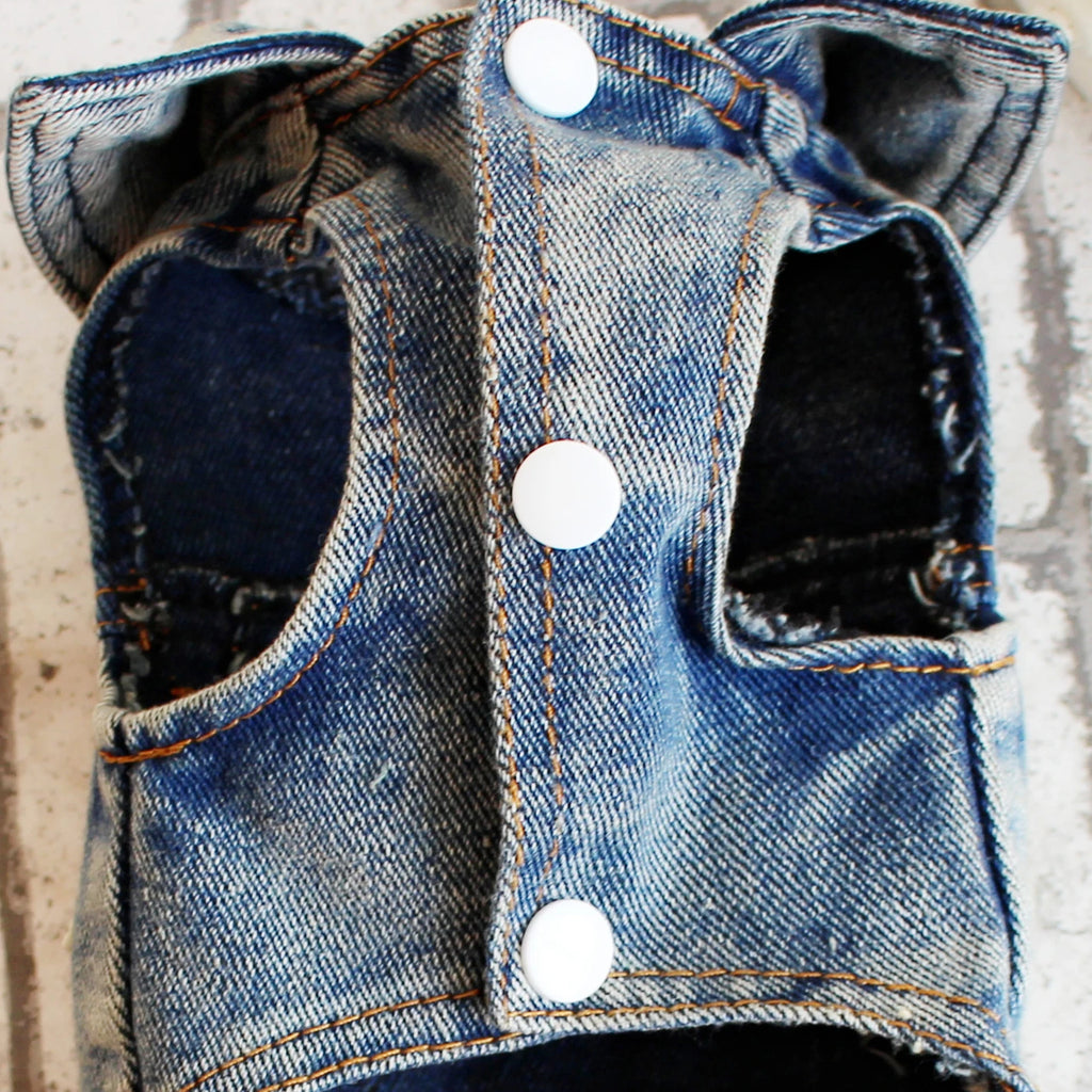 Retro Denim Overalls Dog Jumpsuit – 4-Leg Cowboy Style