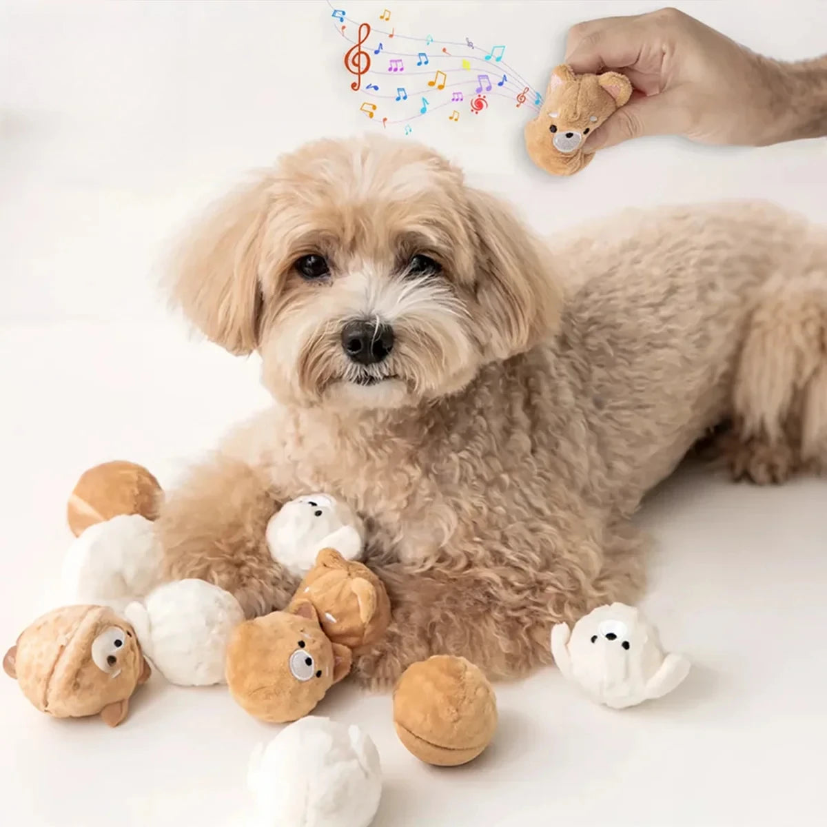 Squeaky Spiked Bouncing Ball Dog Toy – Teeth Cleaning for Small Dogs