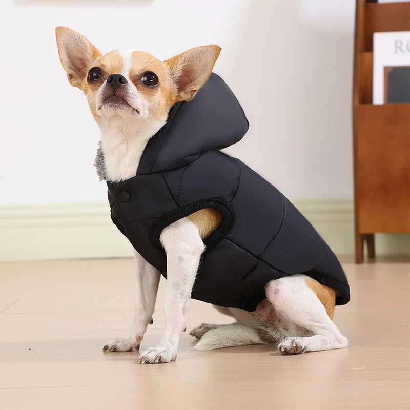 Thickened Dog Parka Jacket – Warm Cosy Coat for Small Dogs