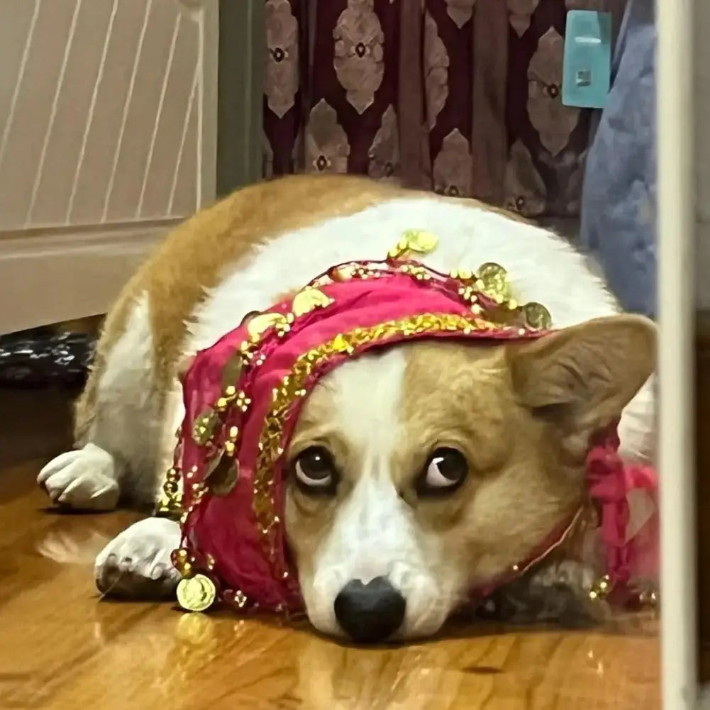 Pet Belly Dance Hip Scarf & Booty Decoration – Sequin Pet Costume