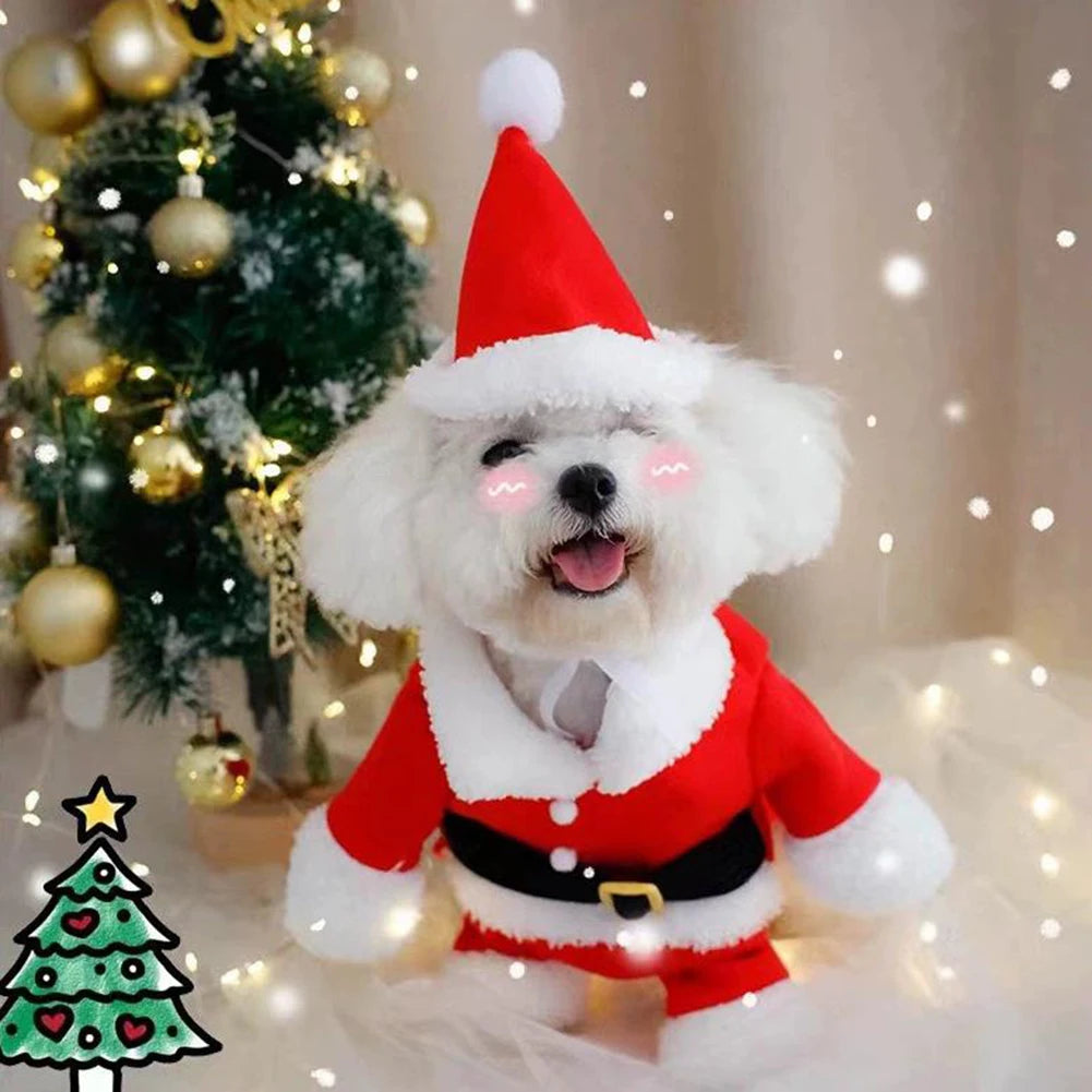 Dog Christmas Costume – Festive Holiday Outfit for Dogs