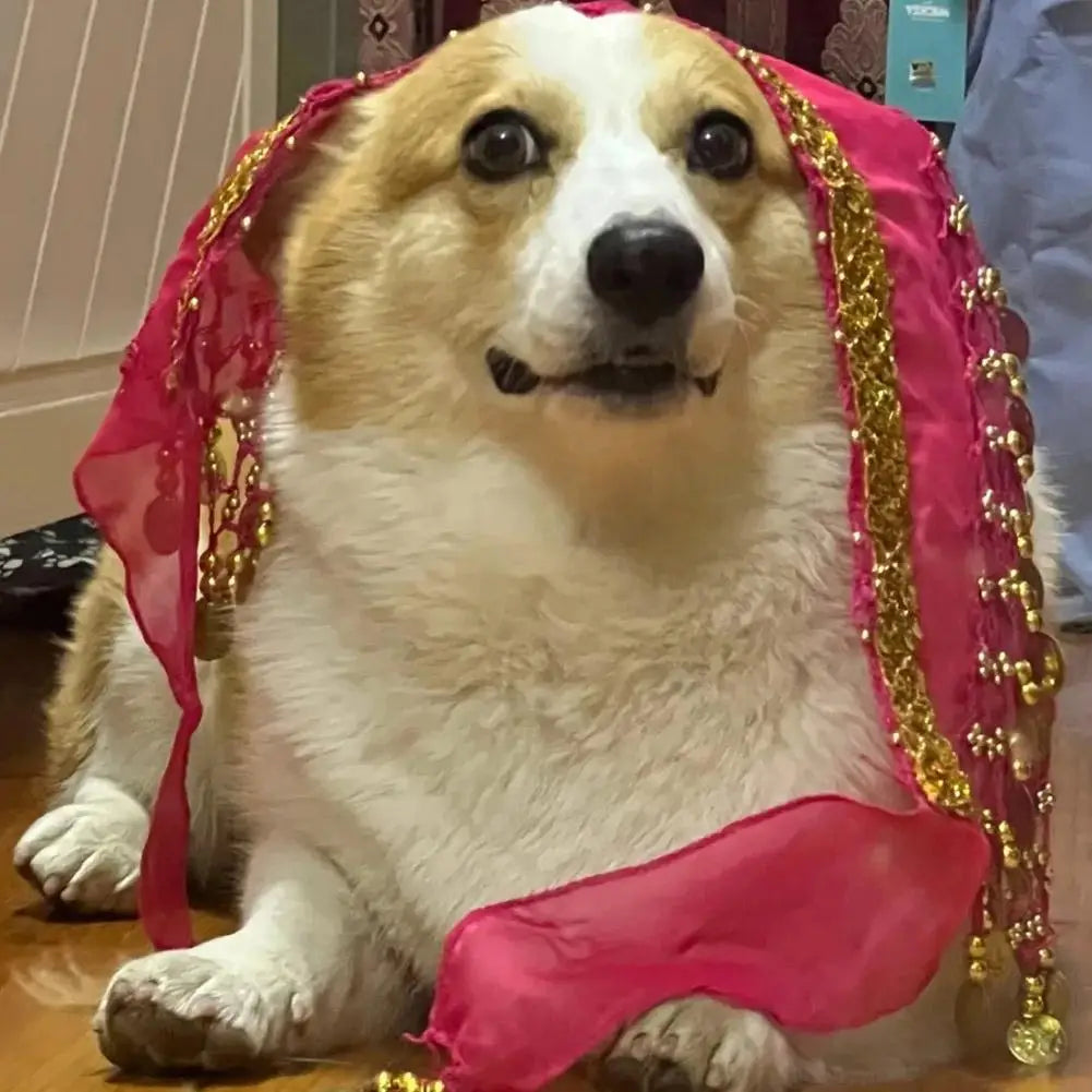 Pet Belly Dance Hip Scarf & Booty Decoration – Sequin Pet Costume