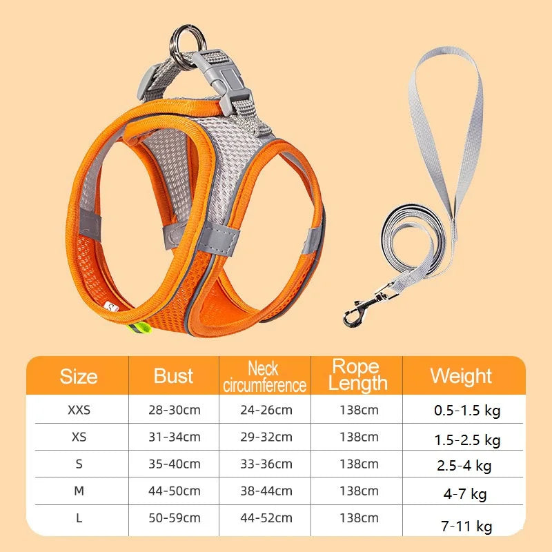 BellyRub Reflective Dog Harness – Adjustable Buckle Halter for Puppies & Small Dogs | XXS–L