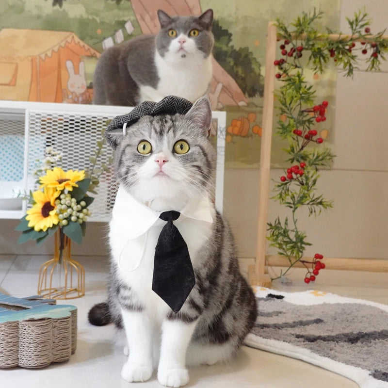 Gentleman's Beret & Tie Pet Costume – For Cats & Dogs