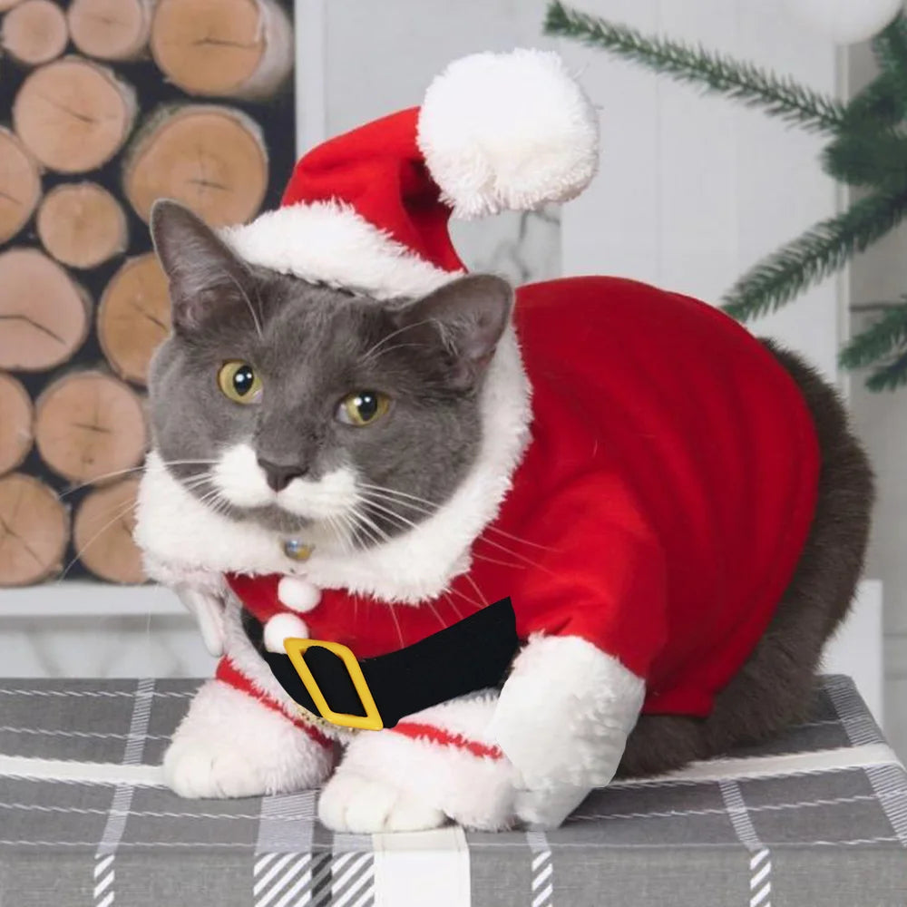 Santa Claus Pet Costume – Festive Dress Up for Cats & Dogs