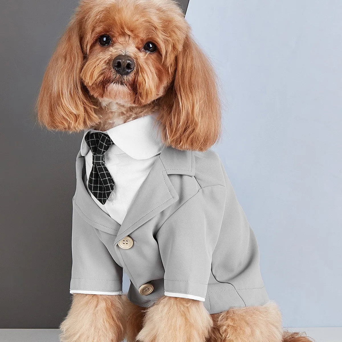 Dog Tuxedo Formal Suit – Classic Fashion Wear for Small Dogs