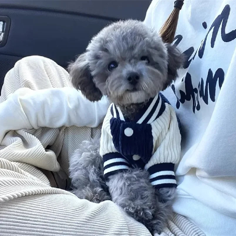 Luxury Embroidered Pet Baseball Jacket – Spring Fashion Coat for Dogs & Cats