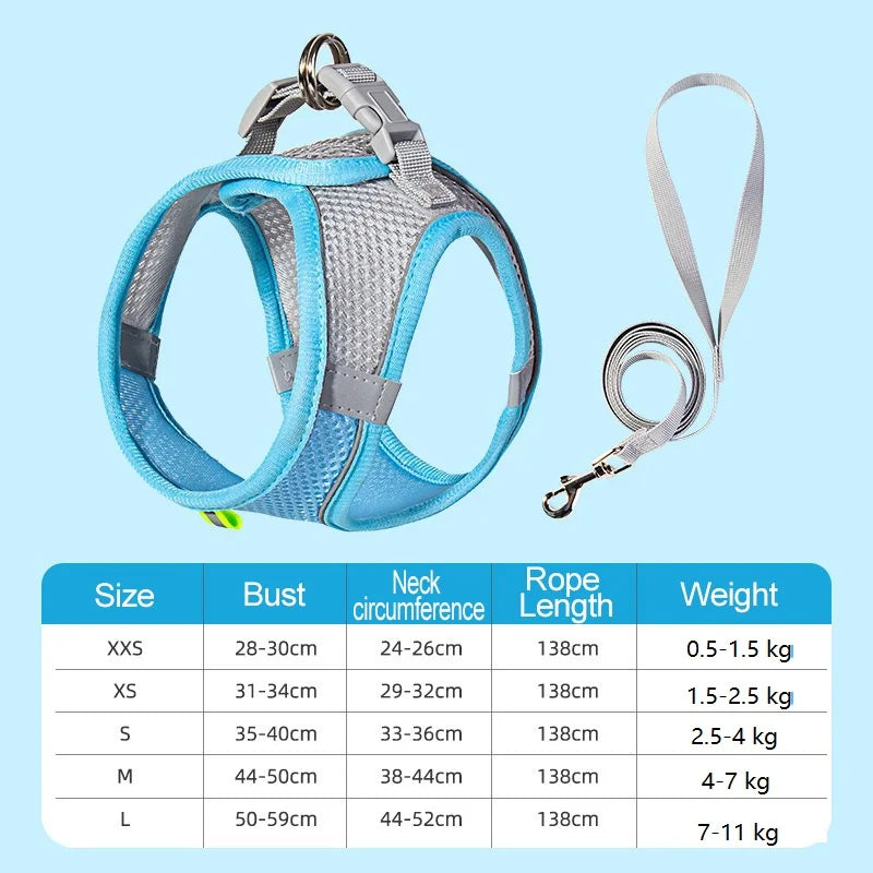 BellyRub Reflective Dog Harness – Adjustable Buckle Halter for Puppies & Small Dogs | XXS–L