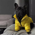 Luxury Dog Puffer Coat  – Warm Polyester Jacket for Stocky Breeds | M–XXL