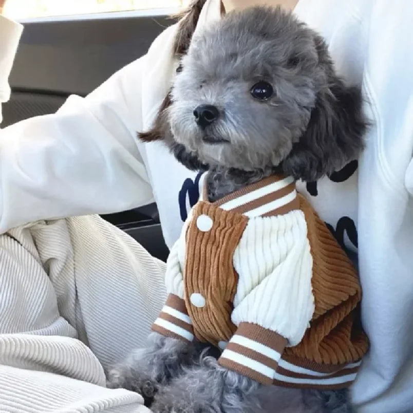 Luxury Embroidered Pet Baseball Jacket – Spring Fashion Coat for Dogs & Cats