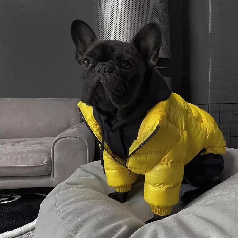 Luxury Dog Puffer Coat  – Warm Polyester Jacket for Stocky Breeds | M–XXL