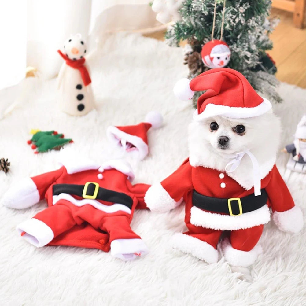 Dog Christmas Costume – Festive Holiday Outfit for Dogs