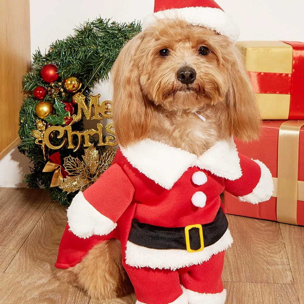 Dog Christmas Costume – Festive Holiday Outfit for Dogs