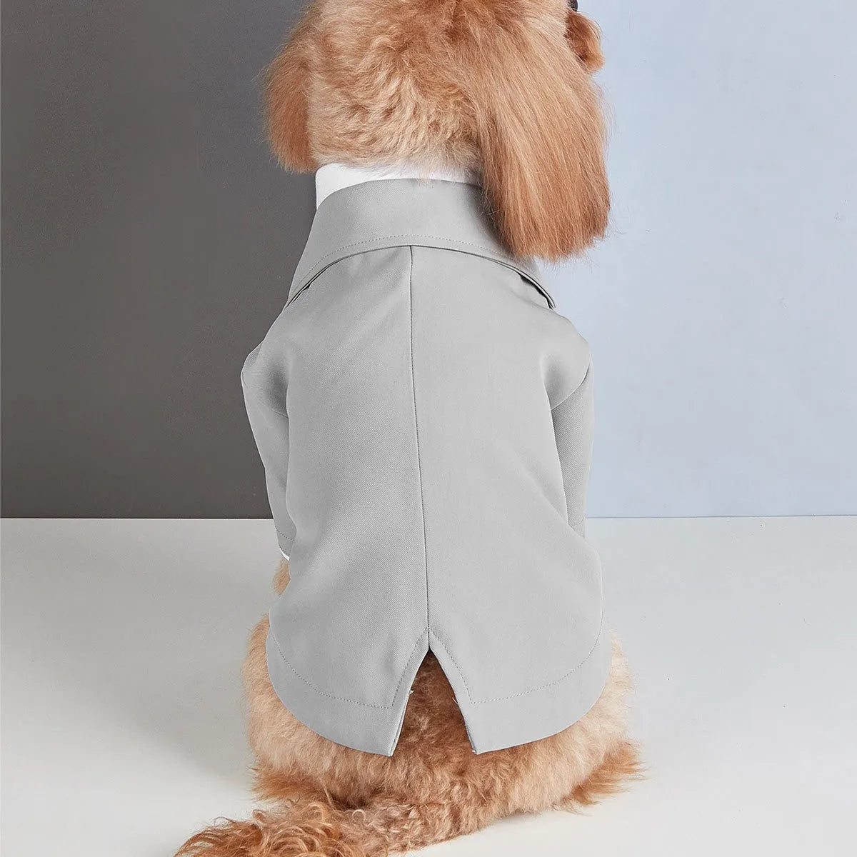 Dog Tuxedo Formal Suit – Classic Fashion Wear for Small Dogs