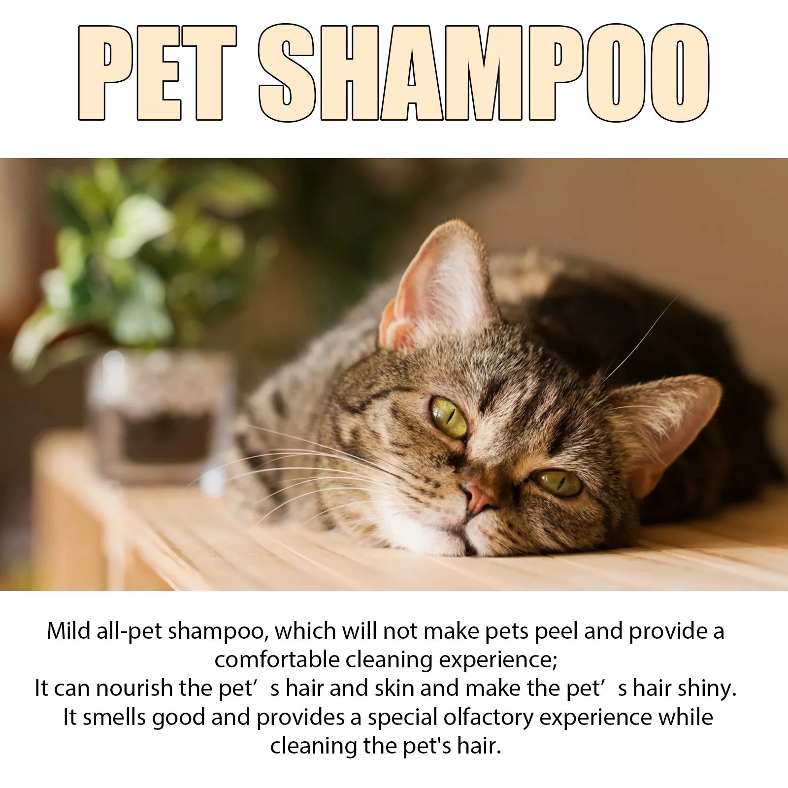 Anti-Flea Dog Shampoo – Mite & Dirt Removal Formula