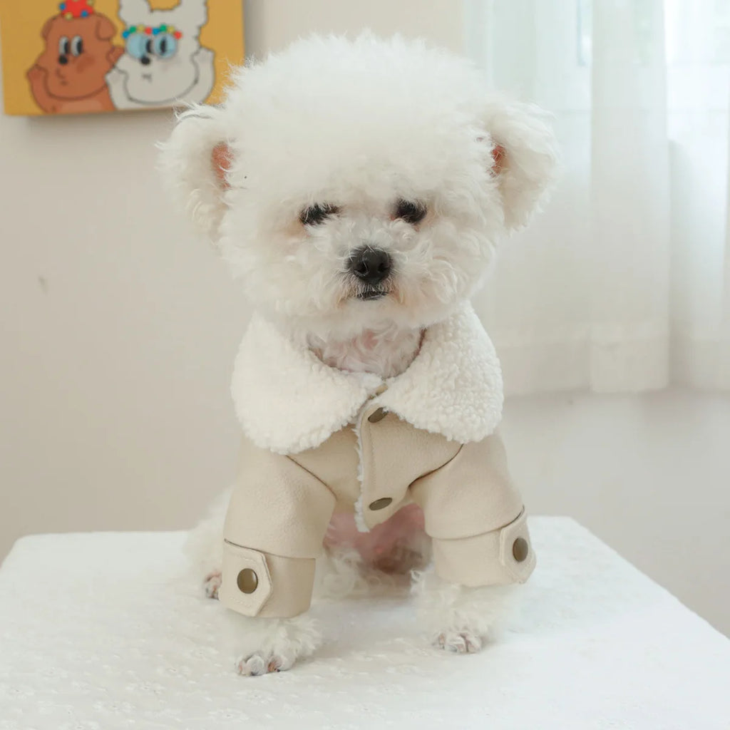 Waterproof Leather Dog Down Jacket – Winter Coat for Small & Medium Dogs
