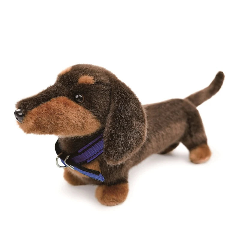 Dachshund Plush Cushion & Throw Pillow – Cute Home Decor