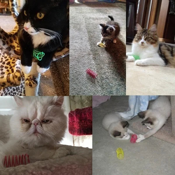 Colourful Coil Spring Cat Toys – Interactive Kitten Play Pack