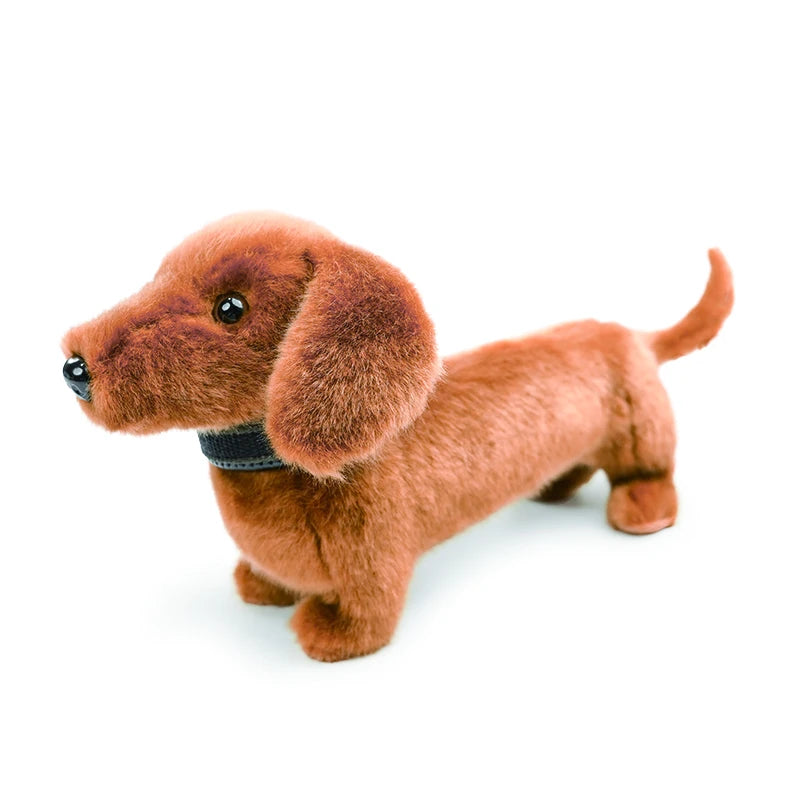 Dachshund Plush Cushion & Throw Pillow – Cute Home Decor