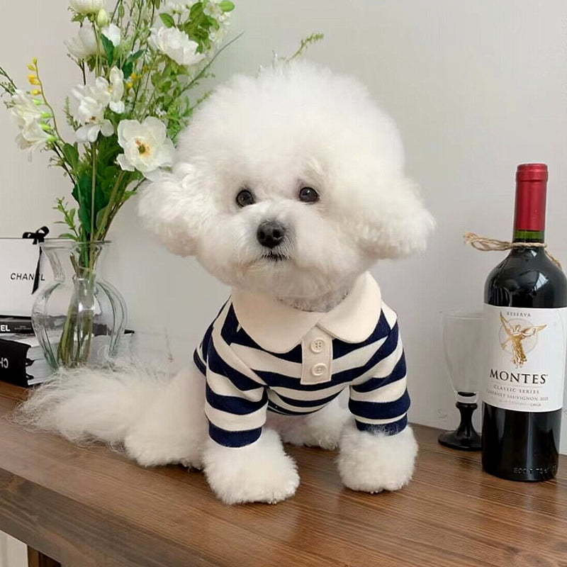 Colour Striped Doggy Luxe Shirt - Blue, Red OR Pink (All sizes)