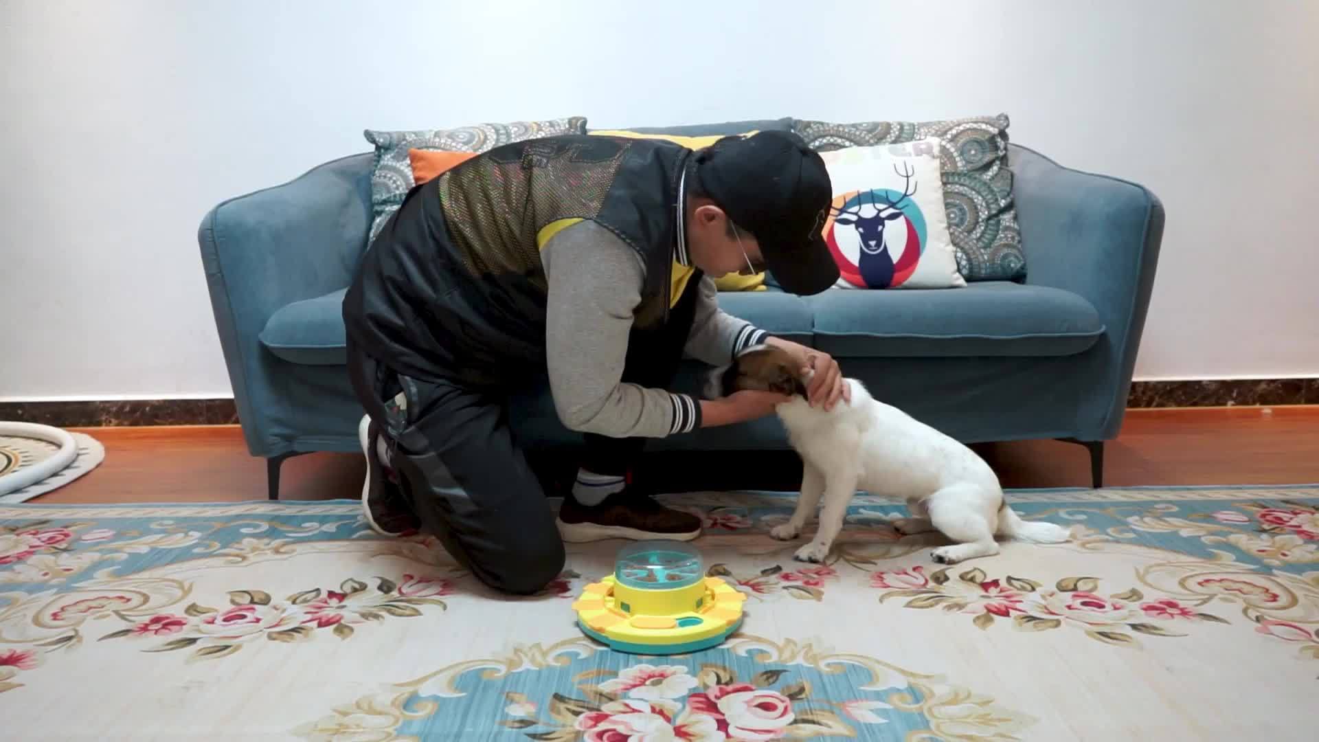 Dog Puzzle Toys Slow Feeder, Interactive Dog Toys Treat Dispenser for IQ Training, Treat Dispenser for Large Dogs, Dog Treat Puzzle for  and Medium Dogs, Improve Your Dog's Intelligence