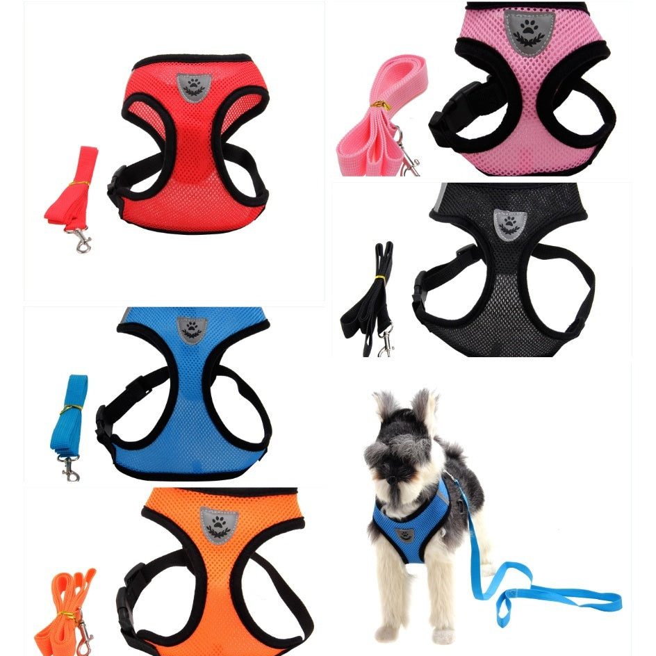 Mesh Dog Harness & Lead Set | Breathable No-Pull Design