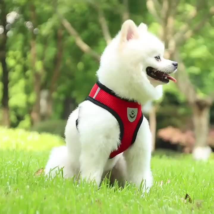 Reflective Pet Harness And Leash Set For Dogs And Cats, Adjustable Puppy Cat Vest Harness With Soft Mesh