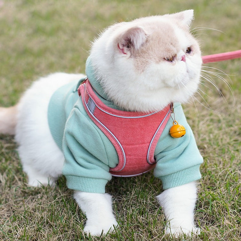BellRub Market - Soft Velvet Cat Vest Harness & Leash Set