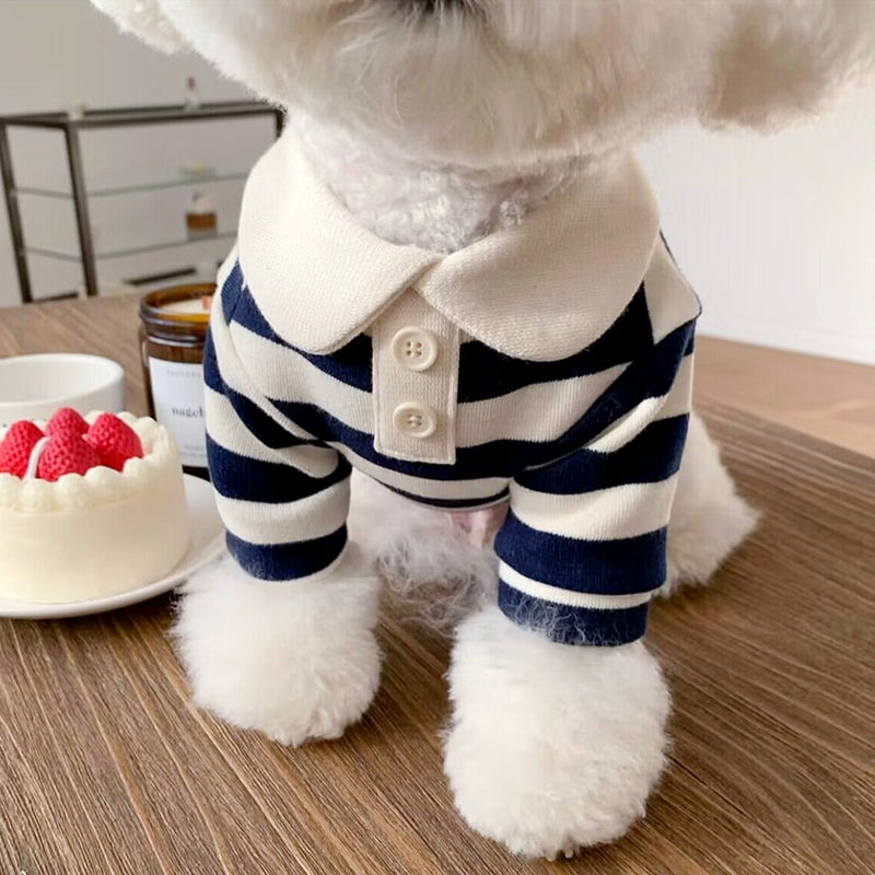 Colour Striped Doggy Luxe Shirt - Blue, Red OR Pink (All sizes)