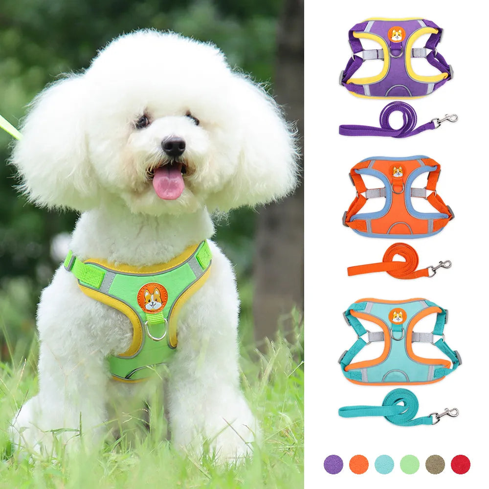 ColorPup - No Pull Dog Harness & Lead Set – Reflective Mesh Vest | 6 Colours | S–XL