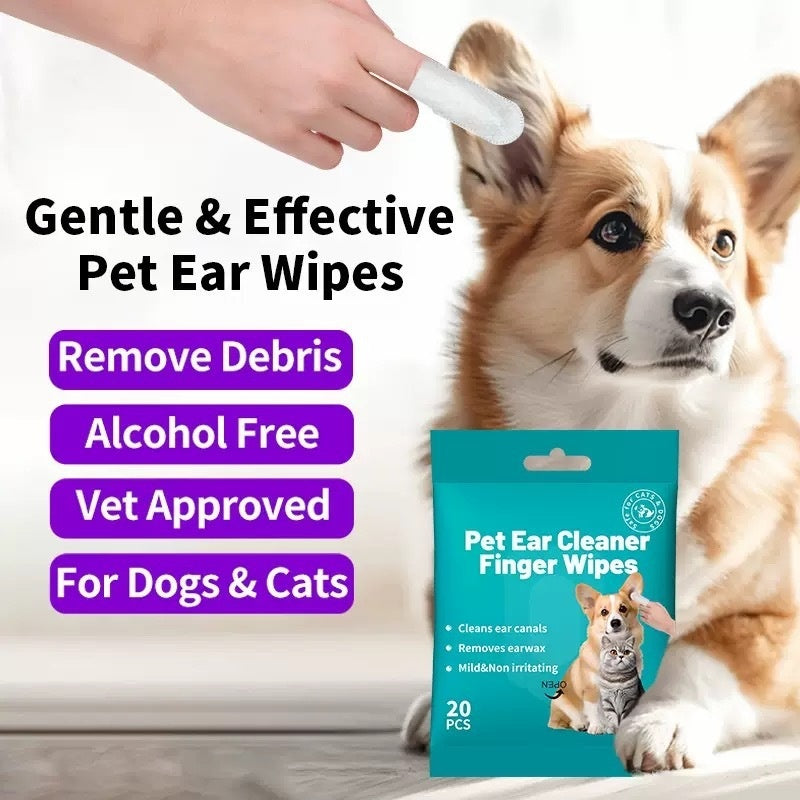 BellyRub Market Pet Cleaning Wipes | Ear or Teeth | 20 Wipes per Pack