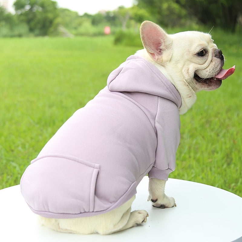 Hooded Fleece Dog Sweater – Warm Knit Coat for Small Dogs | All Seasons