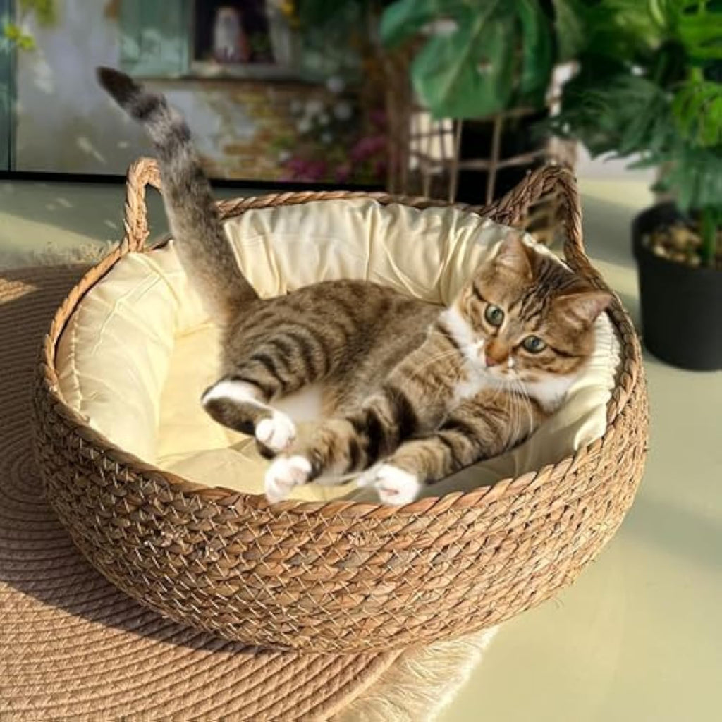 Handmade Natural Woven Cat Bed with Memory Foam Cushion- Eco-Friendly Straw Nest