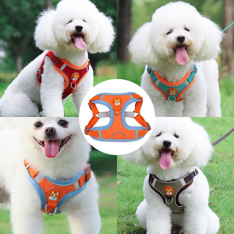 ColorPup - No Pull Dog Harness & Lead Set – Reflective Mesh Vest | 6 Colours | S–XL