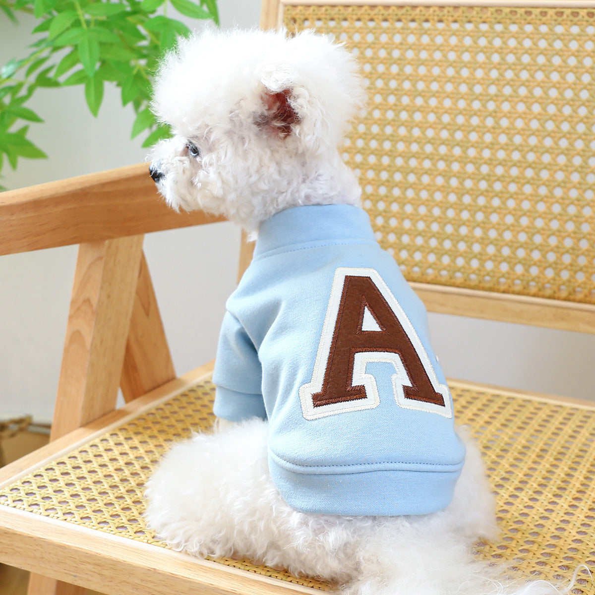 Luxe Letter Print Dog Hoodie Sweater - Autumn & Winter Warmth