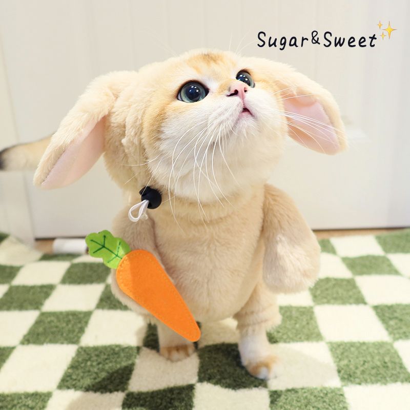 Funny Rabbit & Panda Pet Costume with Leash - Carrot & Bamboo Designs