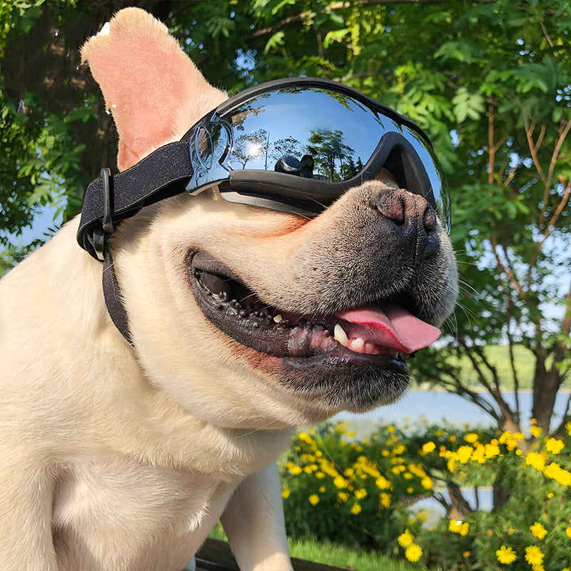 Windproof UV Protection Pet Sunglasses & Goggles