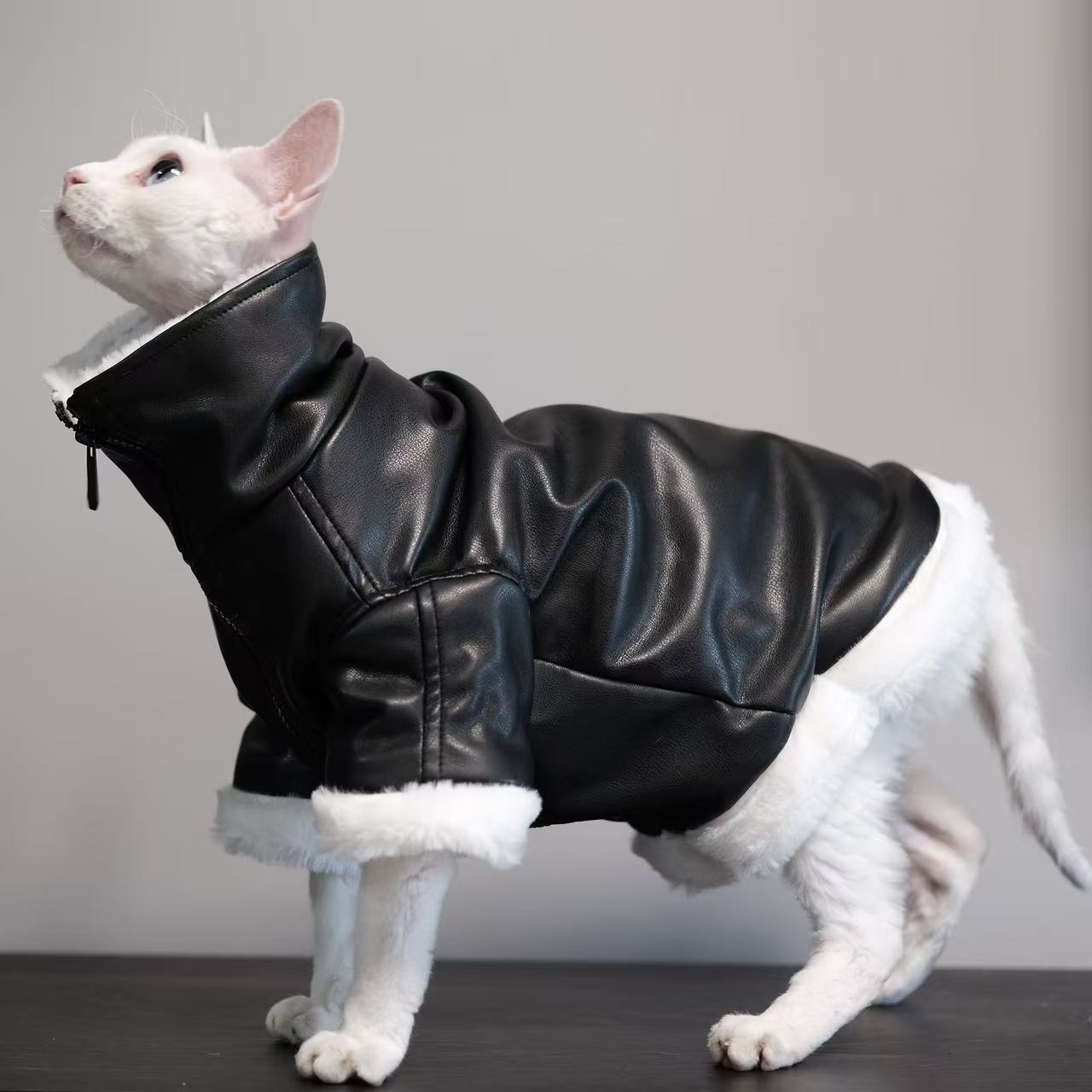 Thickened Coat Cat Apparel Sphynx Outfit
