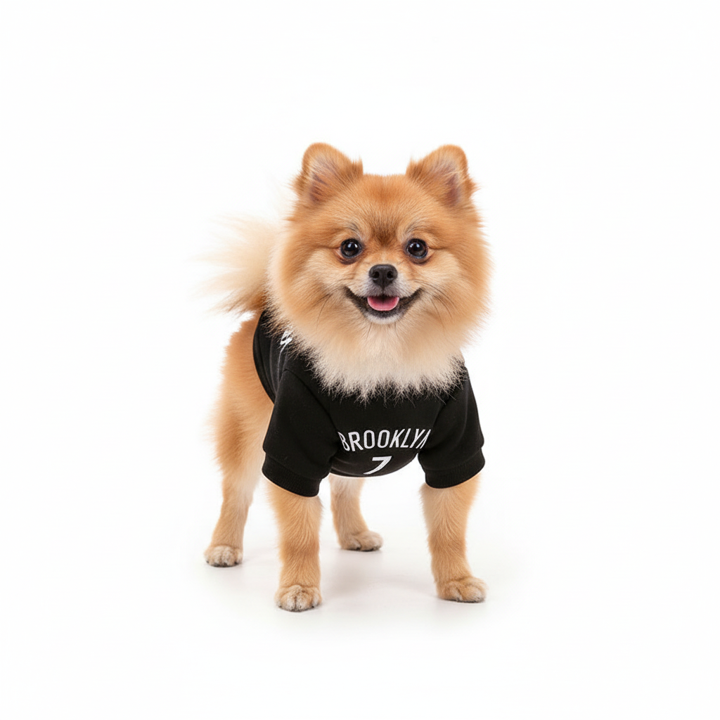 NBA Style Dog Sweaters - 6 Team Options